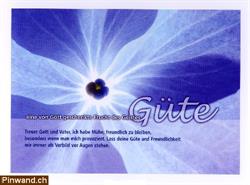Lebensweisheit - Was ist Güte?