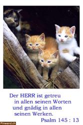 Bibel Psalm - Der Herr ist getreu ...