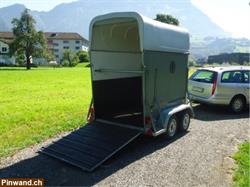 Pferde Transporte