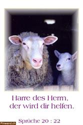 Bibel Zitat: Harre des Herrn ...