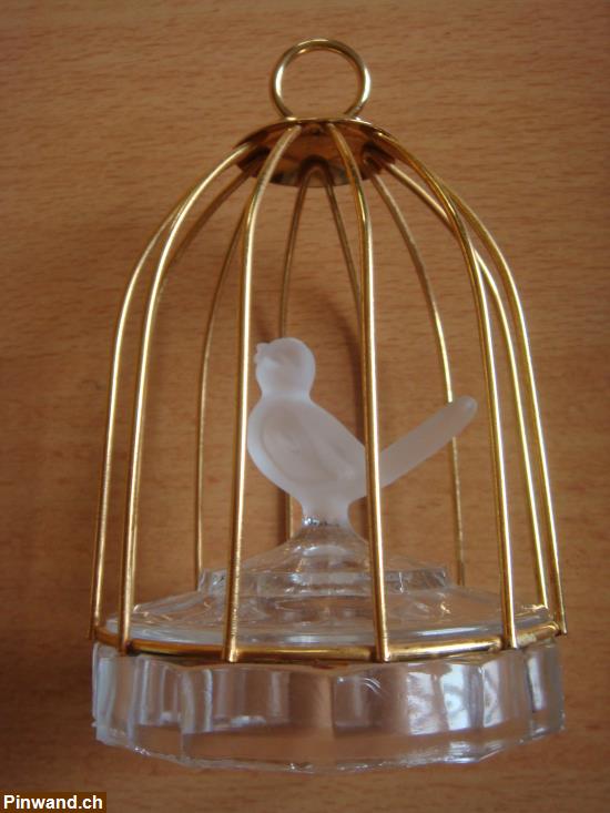 Bild 1: Glasvogel in Vogelkäfig als Dekoration