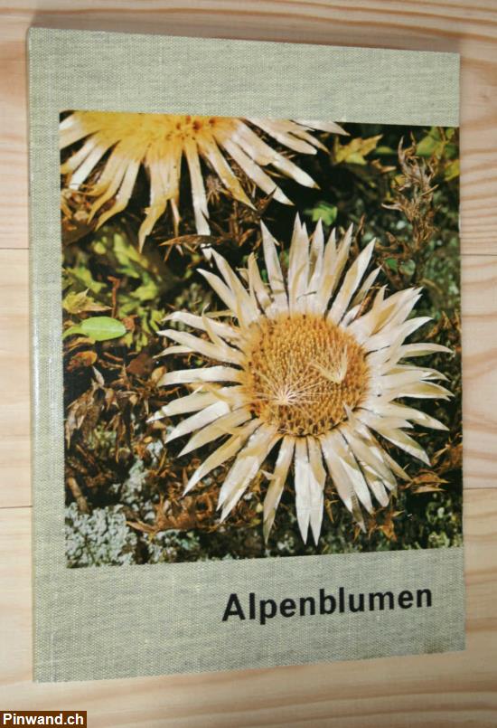 Bild 1: Alpenblumen Lexi-Bildband Nr. 2 mit 72 Farbfotos