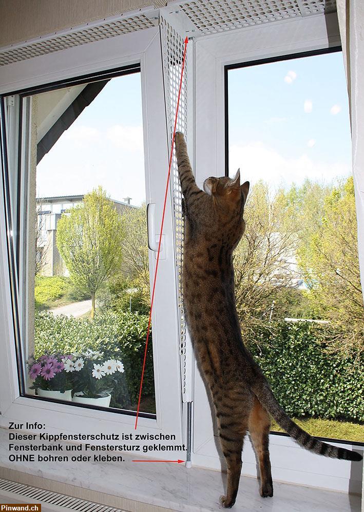 Bild 1: Kippfensterschutz für Katzen von austmetall, ohne Bohren und Kleben, Sys4