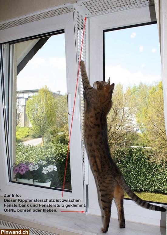 Bild 4: Kippfensterschutz für Katzen von austmetall, ohne Bohren und Kleben, Sys4