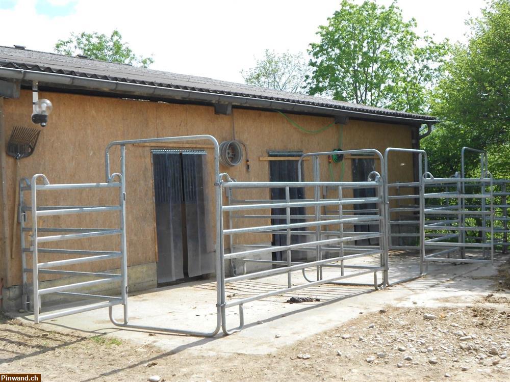 Bild 2: Freie Pferdebox auf Biohof nähe Sissach zu vermieten