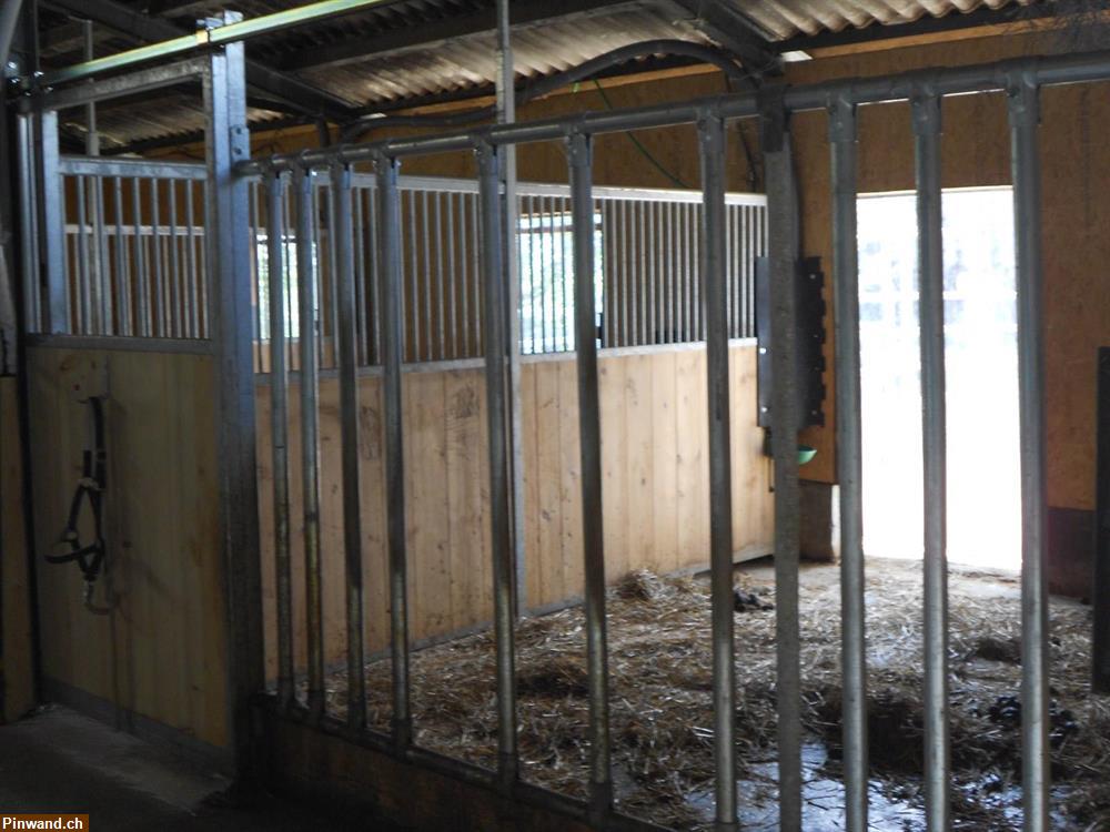 Bild 3: Freie Pferdebox auf Biohof nähe Sissach zu vermieten