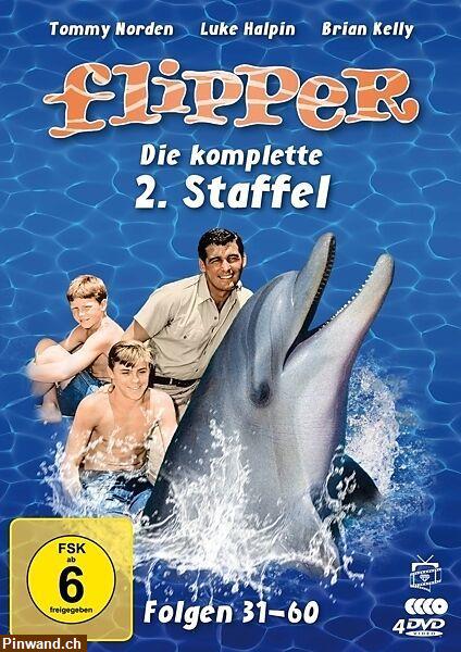Bild 4: Flipper kommt zurück - Die Kultserie der 60er auf 4 DVDs, Staffel 1 u. 2