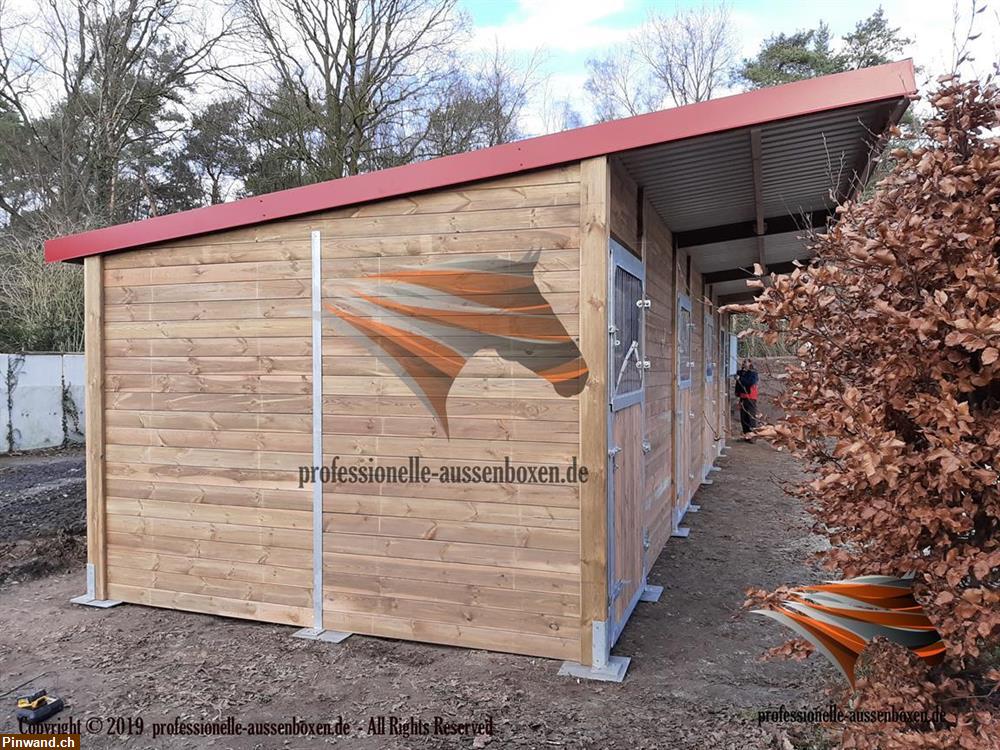 Bild 16: Außenbox, Pferdestall bauen, Pferdebox, Offenstall, Weidehütte mit fressgitter, Stallbau,