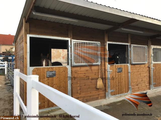 Bild 4: Außenbox, Pferdestall bauen, Pferdebox, Offenstall kaufen, Weidehütte pferd,