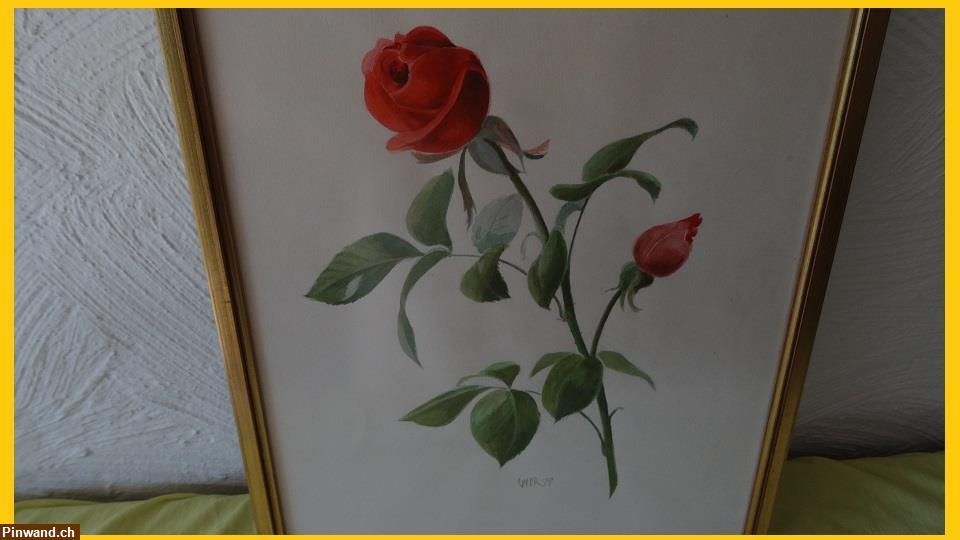 Bild 4: Handsigniert Aquarell Gemälde Roses Bild zu verkaufen