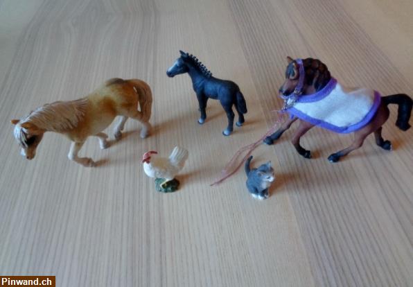 Bild 1: Schleich Konvolut (Pferde, Katze, Huhn) zu verkaufen