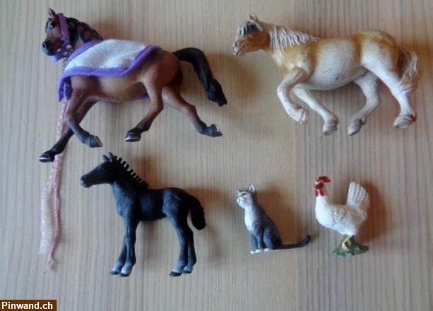 Bild 2: Schleich Konvolut (Pferde, Katze, Huhn) zu verkaufen