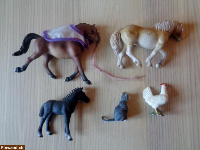 Bild 3: Schleich Konvolut (Pferde, Katze, Huhn) zu verkaufen