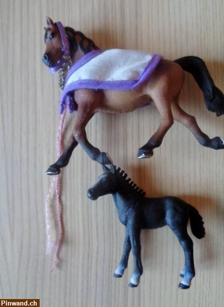 Bild 4: Schleich Konvolut (Pferde, Katze, Huhn) zu verkaufen