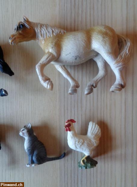 Bild 5: Schleich Konvolut (Pferde, Katze, Huhn) zu verkaufen