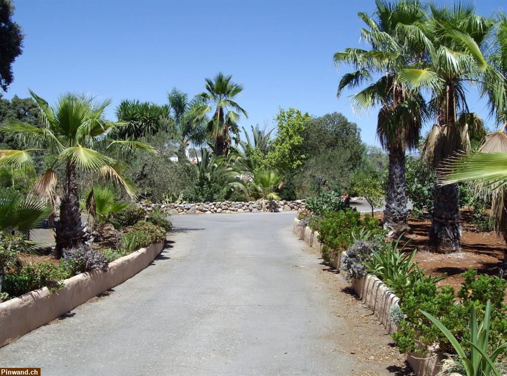 Bild 4: Grundstück mit 2 Einfamilien Häuser in Malaga Spanien zu verkaufen