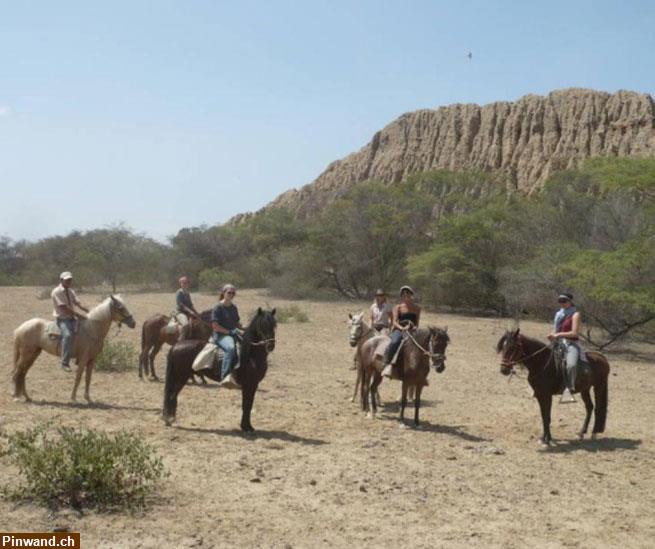 Bild 13: Schöne Reiterferien im Norden von Peru