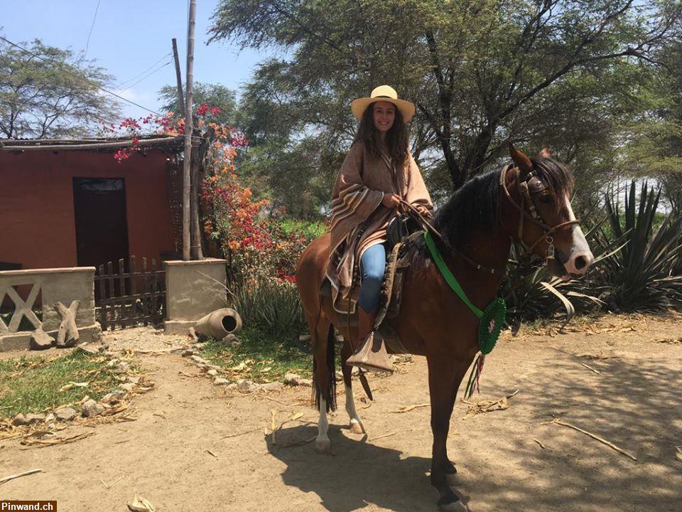 Bild 3: Schöne Reiterferien im Norden von Peru