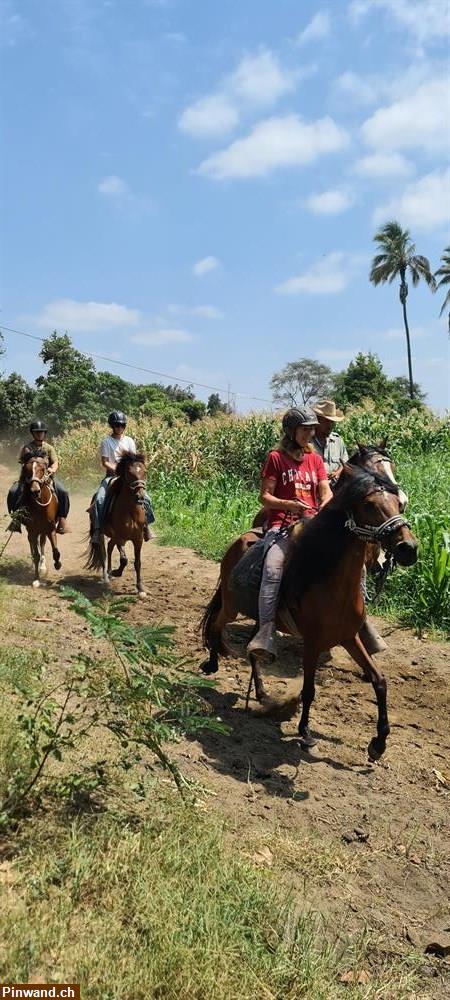 Bild 6: Schöne Reiterferien im Norden von Peru