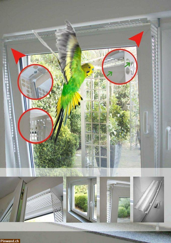 Bild 1: Kippfensterschutz für Vögel, ohne Bohren zu verkaufen