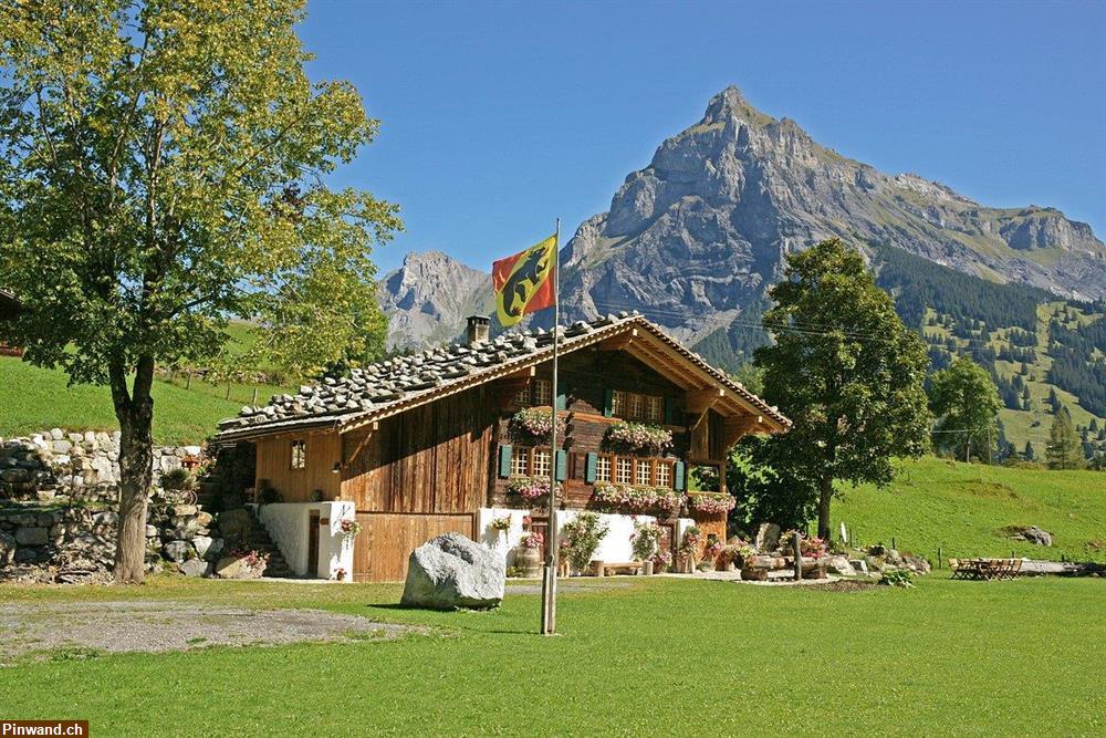 Bild 1: Bauernhaus mit B & B im Berner Oberland zu verkaufen