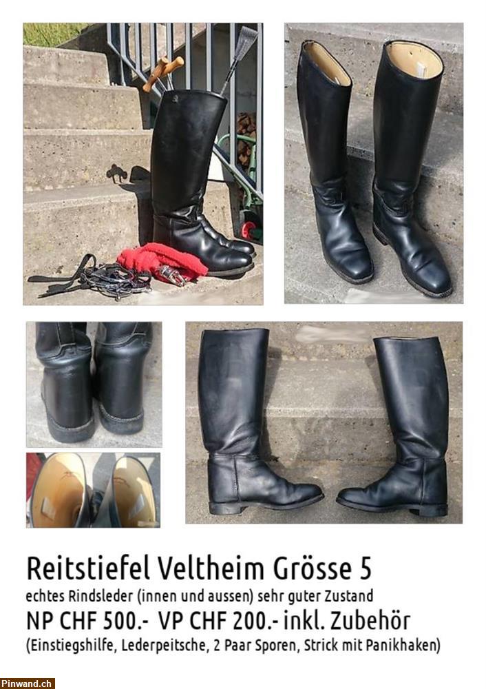 Bild 1: Reitstiefel Veltheim Gr. 5, echt Leder zu verkaufen