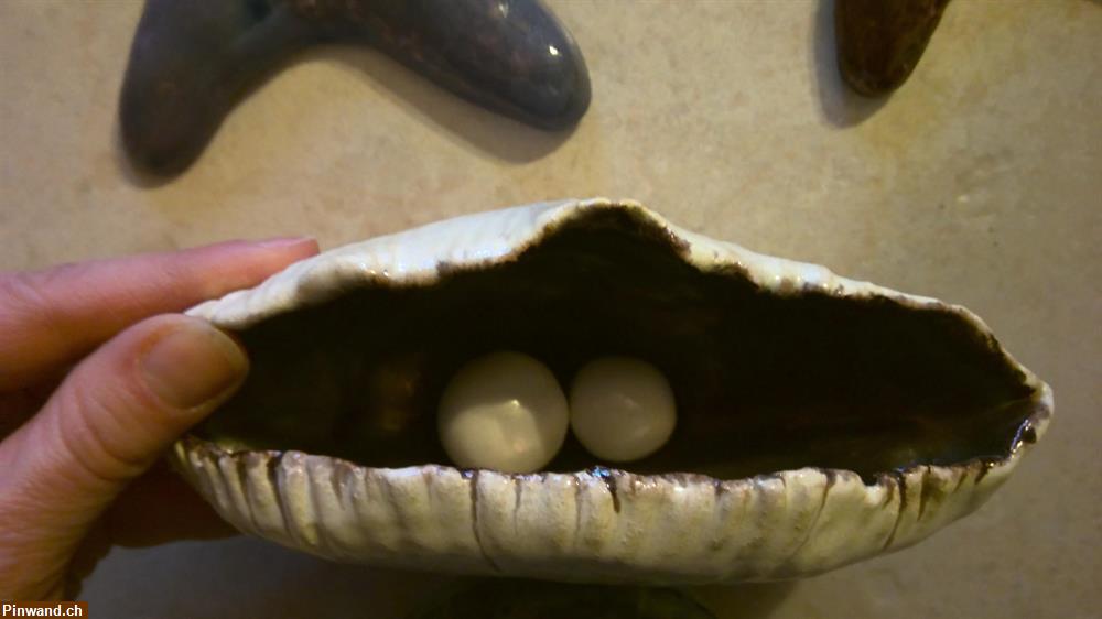 Bild 1: Handgemachte Seesterne und Muschel aus Ton mit Perlen