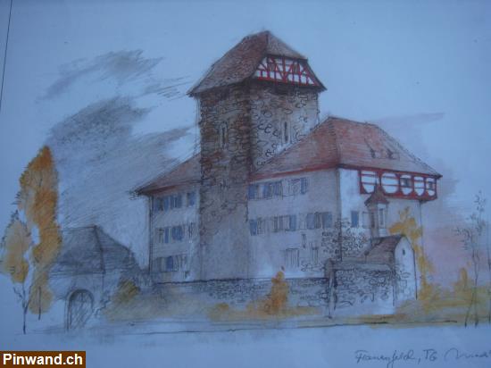 Bild 2: Bild Farbzeichnung Schloss Frauenfeld