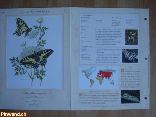 Bild 3: Faszinierende Tierportraits aus aller Welt