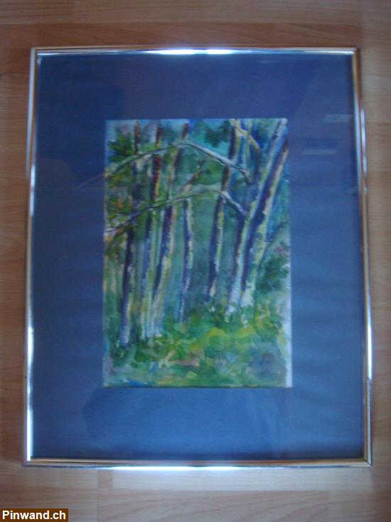 Bild 1: Aquarelle (Im Wald von Monteggio TI)