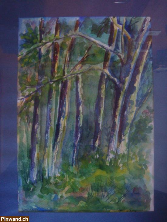 Bild 2: Aquarelle (Im Wald von Monteggio TI)