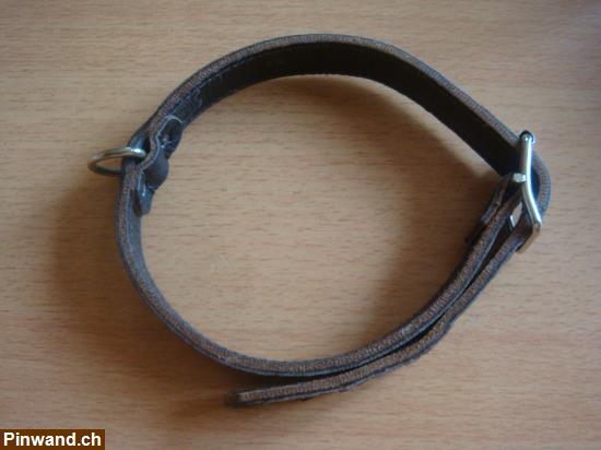 Bild 1: Hundehalsband 55cm, Echt Leder