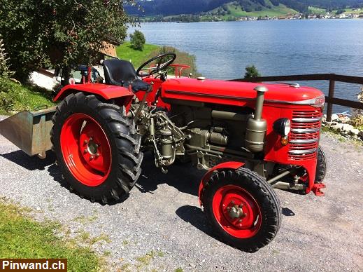 Bild 1: Traktor Hürlimann D70 SSP mit Oldtimer Eintrag zu verkaufen