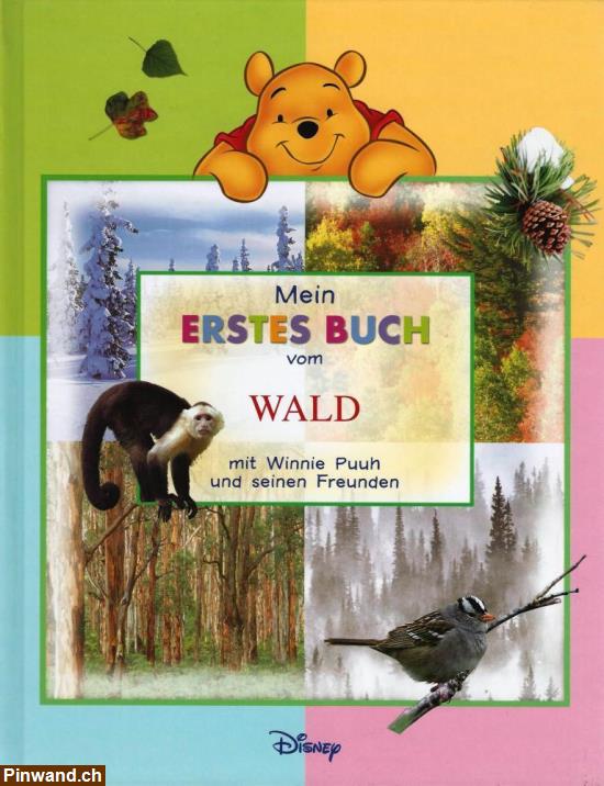 Bild 1: Winnie Puuh - Mein erstes Buch vom WALD