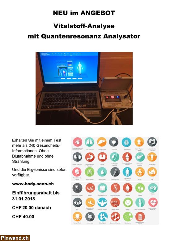 Bild 1: Vitalstoff-Analyse