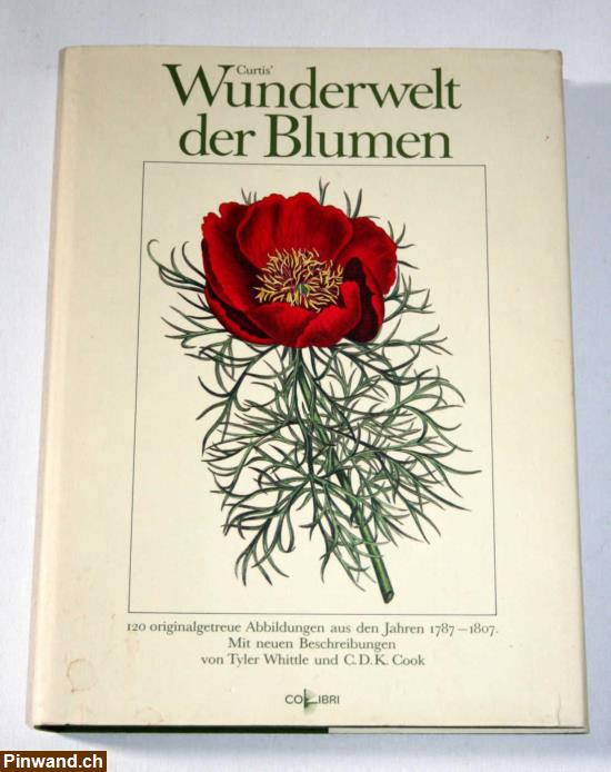 Bild 1: Wunderwelt der Blumen