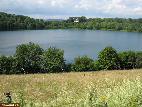 Bild 6: 2 Eifel-Mosel Fewo, Trier, Koblenz, Cochem, Nürburg-Ring