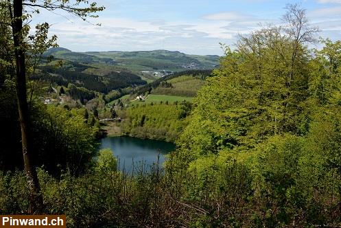 Bild 2: Wandern auf dem 2-Bäche-Pfad in der Vulkaneifel