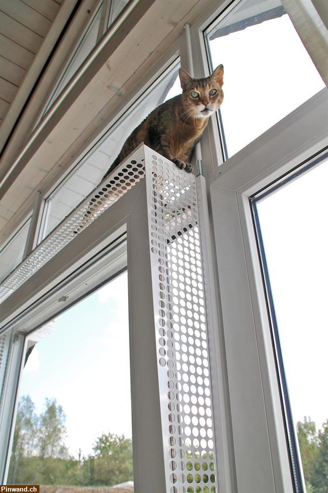Bild 15: Kippfensterschutz für Katzen von austmetall, ohne Bohren und Kleben, Sys4