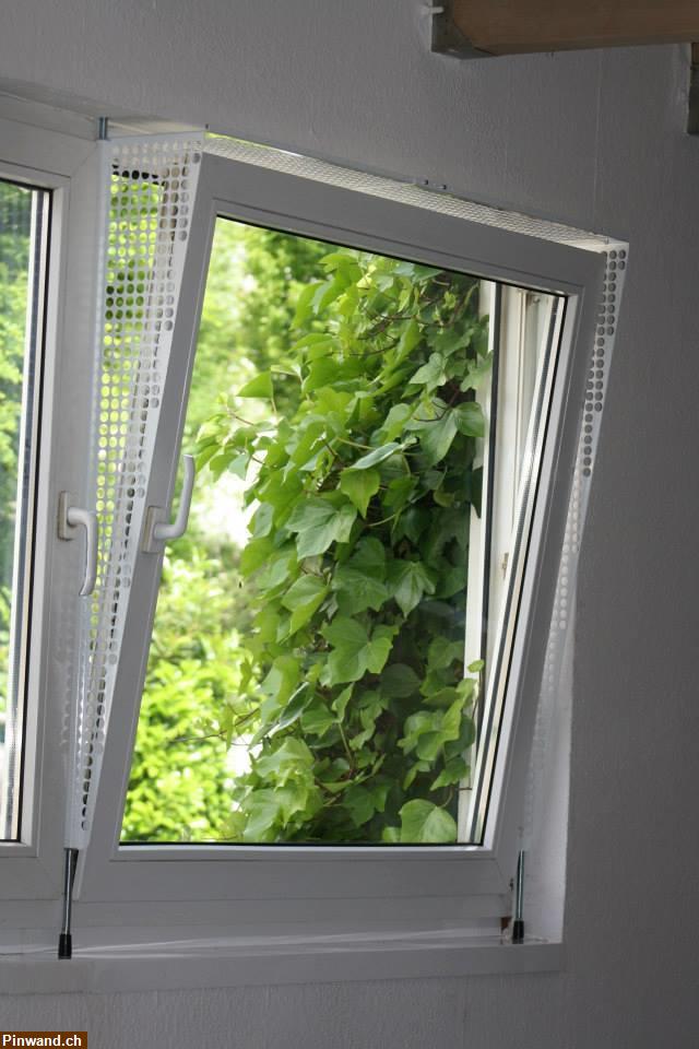 Bild 6: Kippfensterschutz, Fenstergitter, Katzenschutzgitter