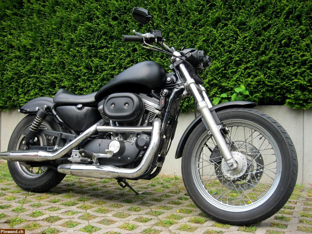 Bild 1: Harley Davidson XLH 883 Sportster