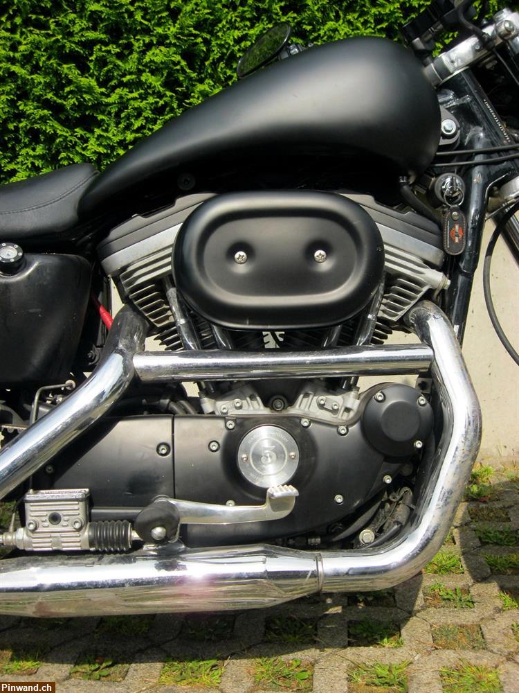 Bild 5: Harley Davidson XLH 883 Sportster