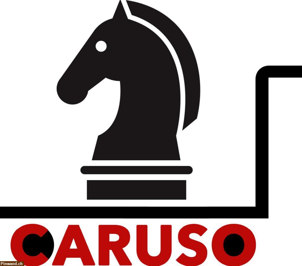 Bild 2: Caruso Pferdetransport in der Schweiz oder in Europa