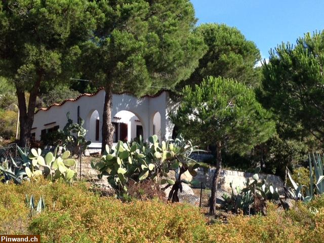 Bild 1: Italien | Insel ELBA | Villa für 6 Personen in Cavoli, traumhafte Strandlage!