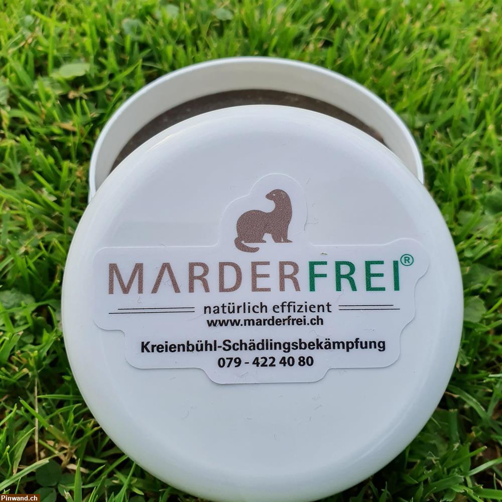 Bild 3: Marderbekämpfung mit marderfrei.ch