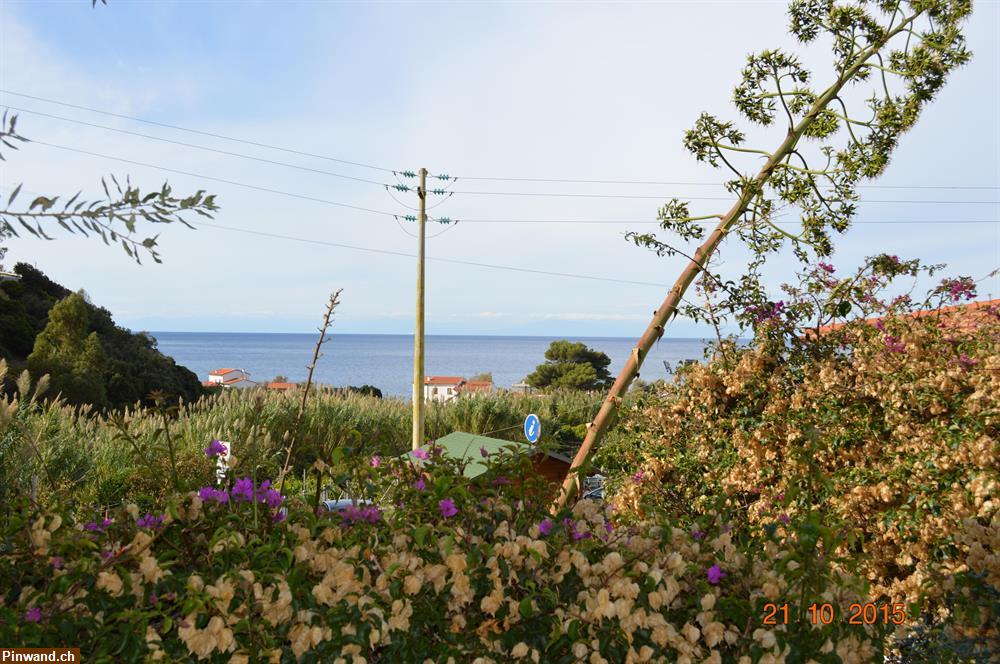 Bild 3: INSEL ELBA - Pomonte - Casa Bonti für 6 Pers. nur 300 Meter zum Strand