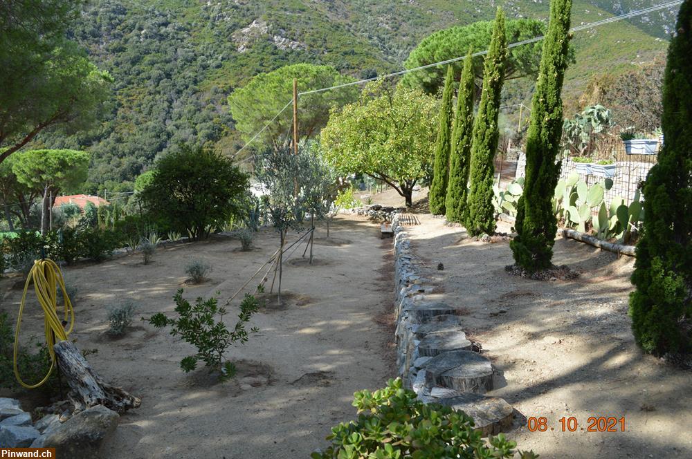 Bild 6: INSEL ELBA - Verkauf: Capoliveri - Anwesen im Rohbau in Panoramalage