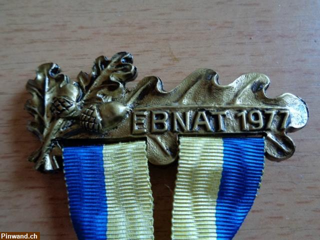 Bild 2: Medaille Ebnat 1977