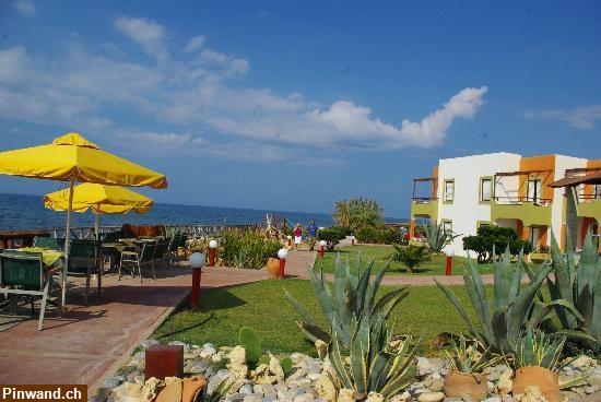 Bild 5: Kreta Ferienwohnungen am Strand von Chrisi Amo zu vermieten