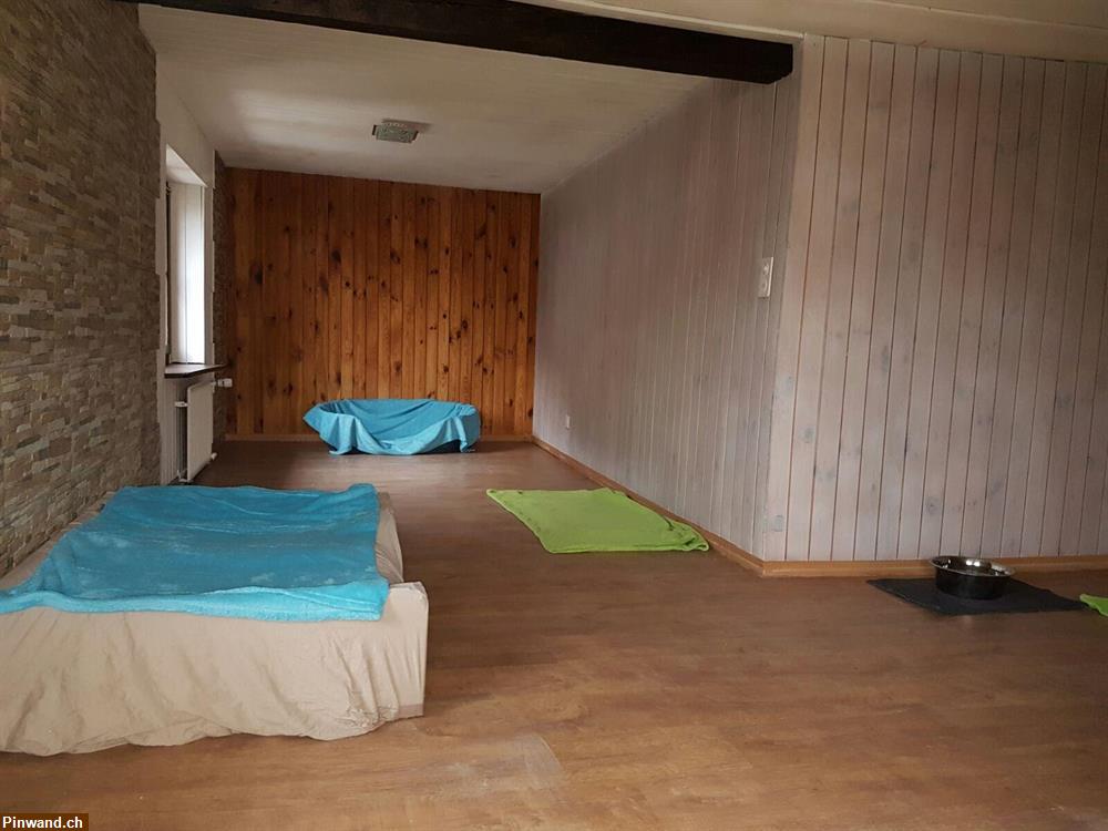 Bild 2: Hundepension, Hund hüten, Ferienplatz, Tagesplatz, Dogsitting, Tierheim